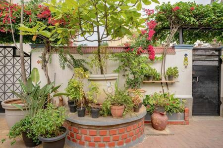 Eden Garden Villa By Jadecaps Nr Mg Road Garden Bangalore Exterior photo